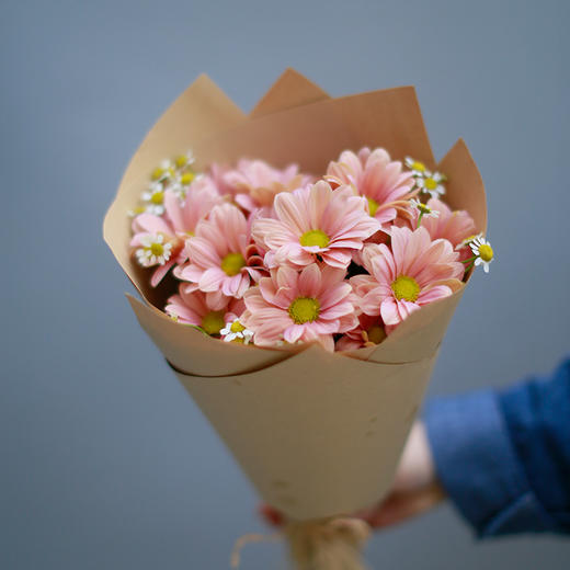 「单品花材」小雏菊 商品图2