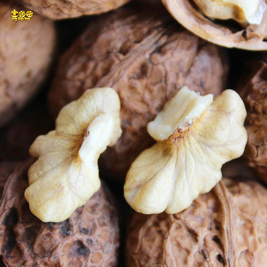 土哆哆大姚野生老树薄皮干核桃香脆无涩感，老树核桃个头偏小 商品图1