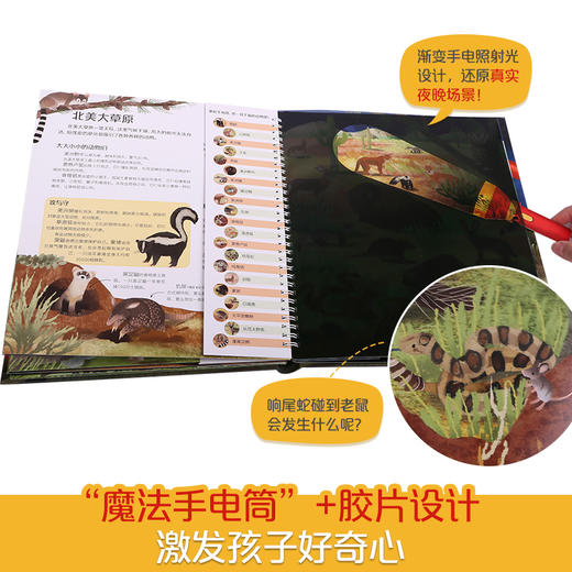 乐乐趣-手电筒探秘 夜晚的动物 商品图1