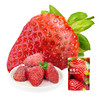 【积分兑换】嘉华 草莓干果脯果干零食100g单袋装 商品缩略图6