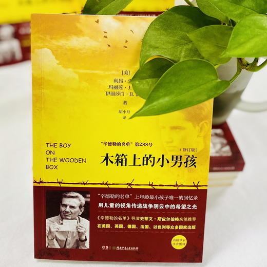 木箱上的小男孩    风鸟皮诺查   六年级高级班共读正版现货速发|名师推荐|小学生课外阅读6年级 商品图3