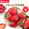 【积分兑换】嘉华 草莓干果脯果干零食100g单袋装 商品缩略图0