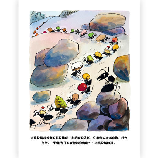 一只拥有名字的蚂蚁 商品图3