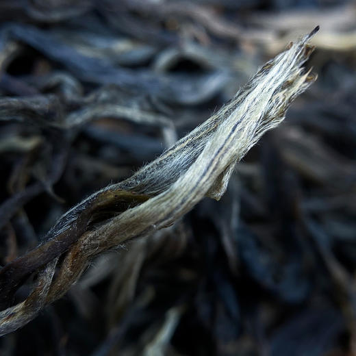 凰馨古茶【懂过】2020普洱生茶500古树357g 商品图1