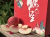 蜜桃 金秋红蜜 九枚精品果（五斤）礼盒装 桃香浓郁 商品缩略图4