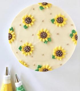 很多很多好看造型的蛋糕