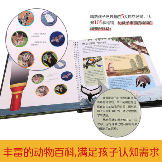 乐乐趣-手电筒探秘 夜晚的动物 商品图2