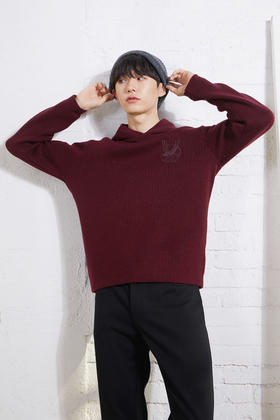 callisto羊毛混纺连帽毛衣 FPKNW091Y