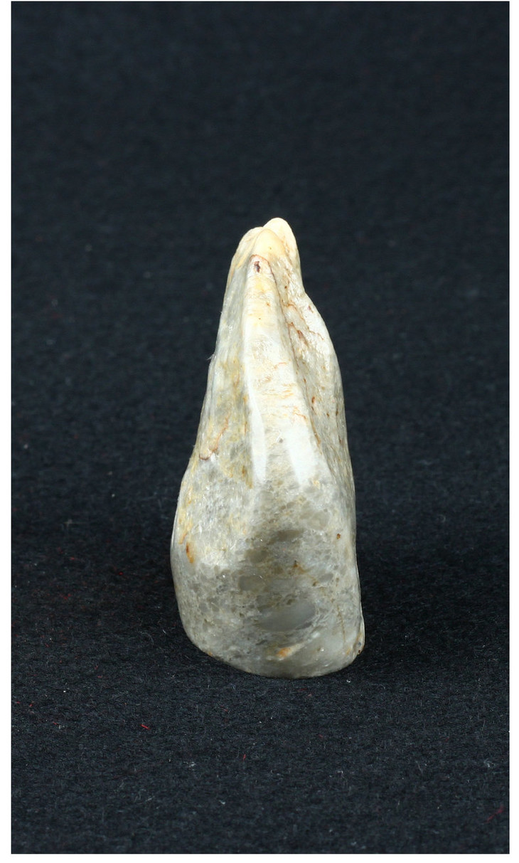 金石印坊昌化石带皮田料随形章452351mmjpysgs009907