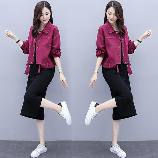 YYXS-8003大码女装两件套2020年秋季新款减龄连衣裙洋气显瘦套装 商品图2