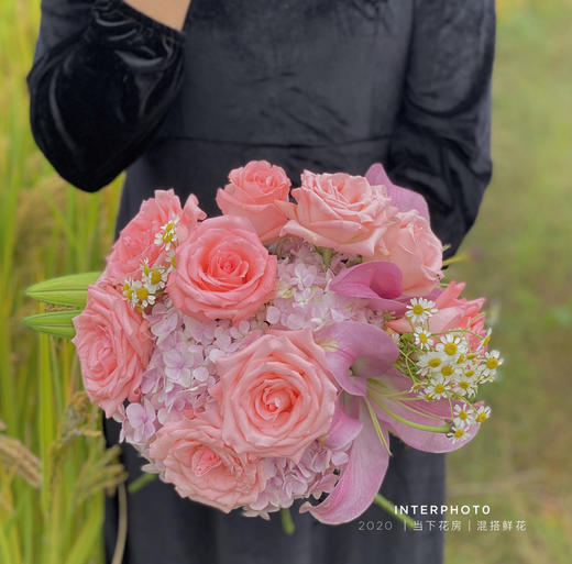 【月半弯】粉玫瑰9 粉色小绣球1 洋甘菊2 粉百合3朵 （夏木设计） 商品图0