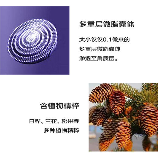 黛珂 小紫瓶精华 商品图4