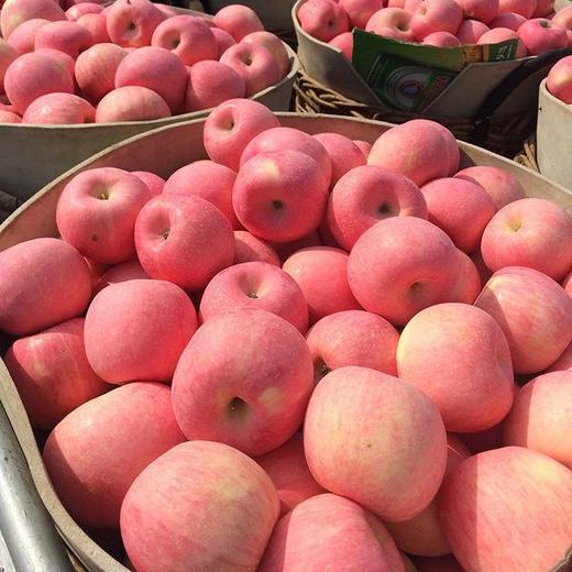 富士苹果 29.9元10斤