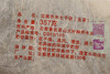 十八年陈  经典配方 古普洱·云南乔木七子饼（2004） 商品缩略图4