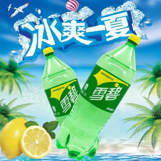 可口可乐2L/雪碧2L/百事可乐2L 商品图7