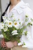 【怜取眼前人】格桑花 多色可选  若干枝/扎 商品缩略图3