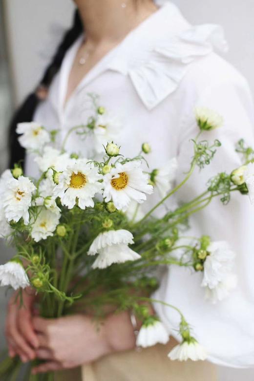 【怜取眼前人】格桑花 多色可选  若干枝/扎 商品图3