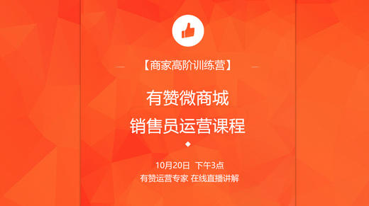 有赞微商城销售员运营课程 商品图0