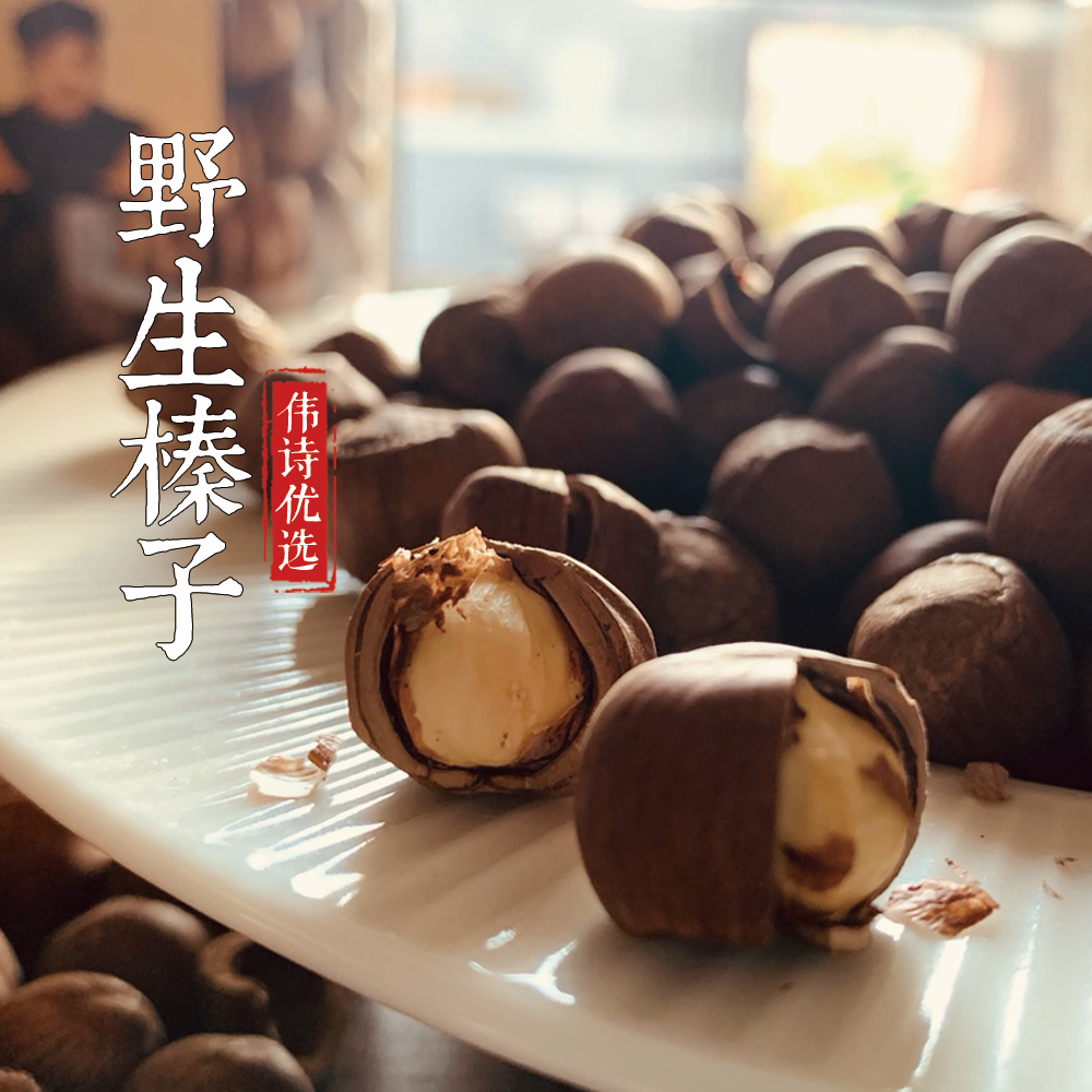 【伟诗优选 】铁岭野生榛子