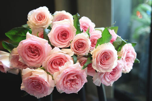 洛神【你的名字 ，是我见过zui短的情诗】简小姐精选  “玫瑰中的爱马仕” A级新品 浪漫水粉色奥斯汀玫瑰  洛神9+1枝(防花损） 2束包邮 下单后72小时内发货 商品图8