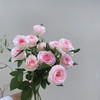 洛神【你的名字 ，是我见过zui短的情诗】简小姐精选  “玫瑰中的爱马仕” A级新品 浪漫水粉色奥斯汀玫瑰  洛神9+1枝(防花损） 2束包邮 下单后72小时内发货 商品缩略图10
