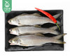 【叼鲜】冰鲜台湾午鱼（已杀）/2条（约300-350g） 商品缩略图1