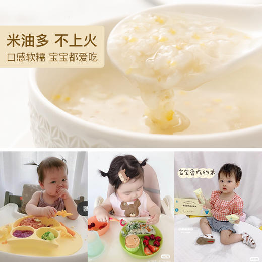 芽芽乐胚芽米宝宝营养辅食粥米 50g*15包 商品图2