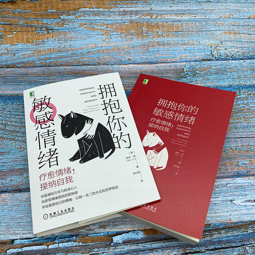 拥抱你的敏感情绪:疗愈情绪,接纳自我 商品图3