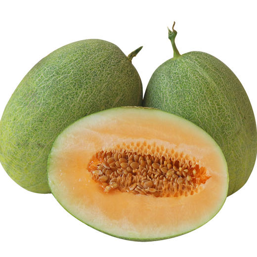 西州蜜瓜的作用和功效_金美人蜜瓜的功效与作用_蜜瓜娄皮的功效与作用