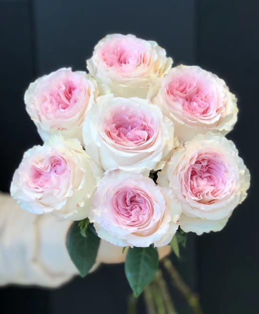 洛神【你的名字 ，是我见过zui短的情诗】简小姐精选  “玫瑰中的爱马仕” A级新品 浪漫水粉色奥斯汀玫瑰  洛神9+1枝(防花损） 2束包邮 下单后72小时内发货 商品图9