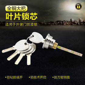 〖B119〗全铜大把叶片锁芯57