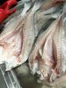 拉菲黄鱼600克/条 商品缩略图3