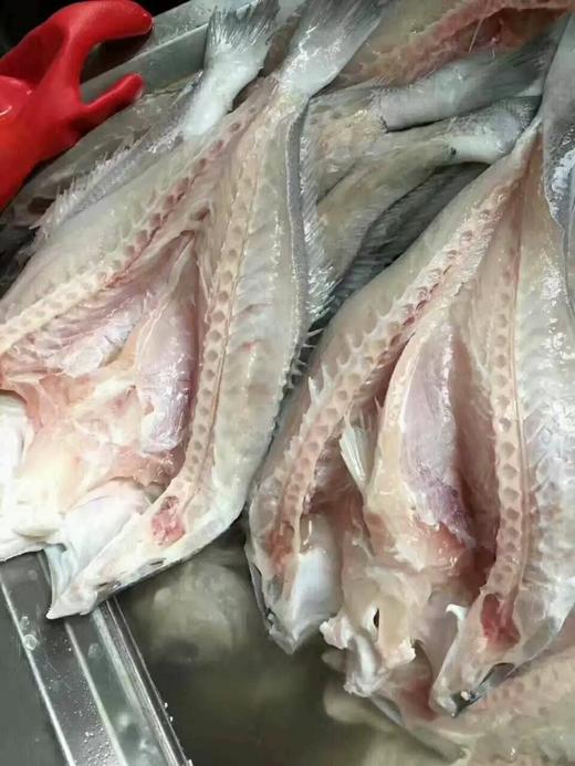 拉菲黄鱼600克/条 商品图3