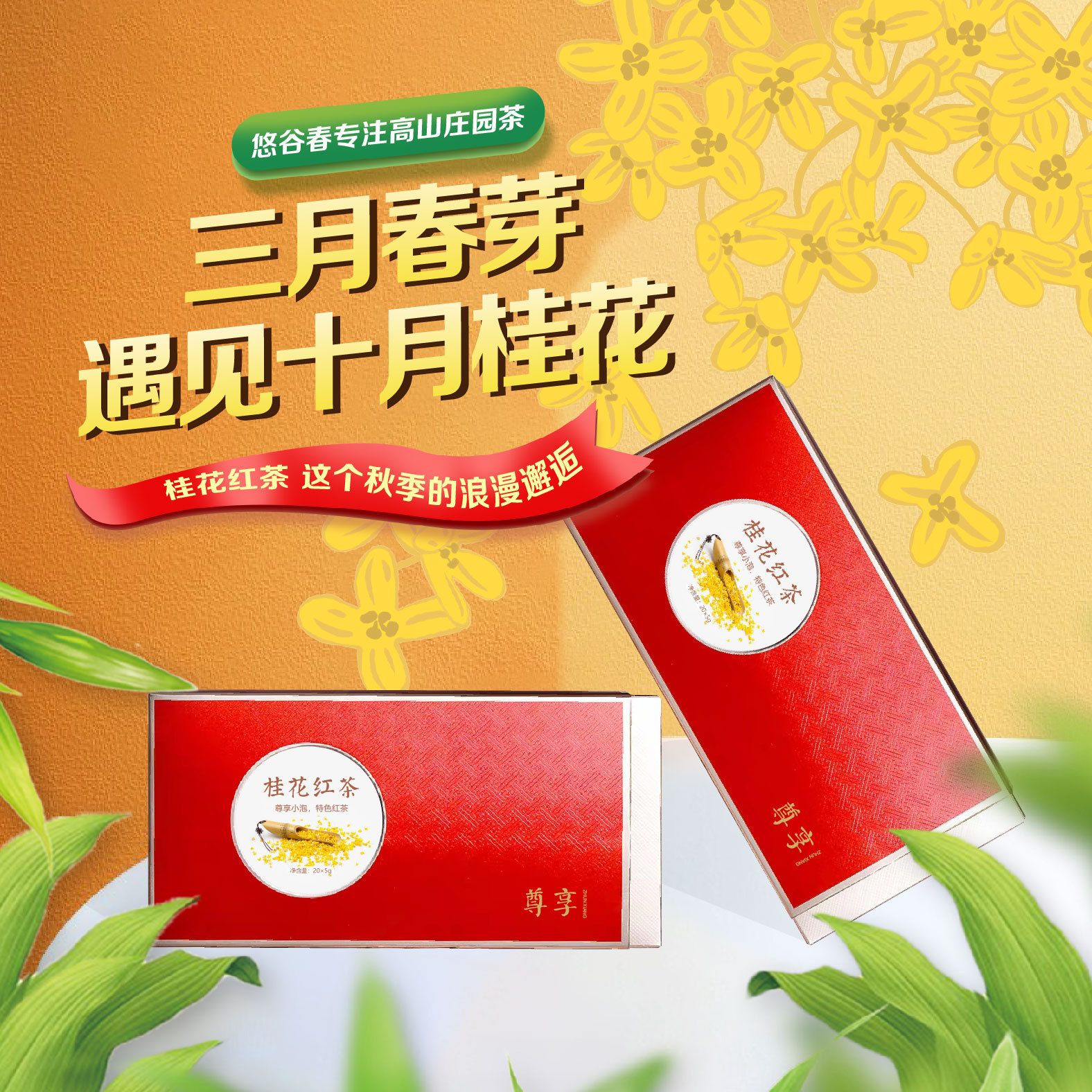 尊享 • 桂花红茶100g（5g*20包）