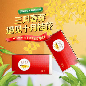 尊享 • 桂花红茶100g（5g*20包）