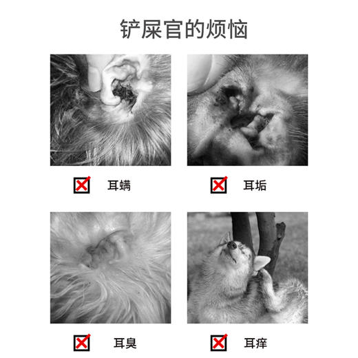 宠里宠外2L装大桶装 美容师专用宠物洁耳液 洗耳水 ，清洁耳道，除臭抑菌除螨 商品图4