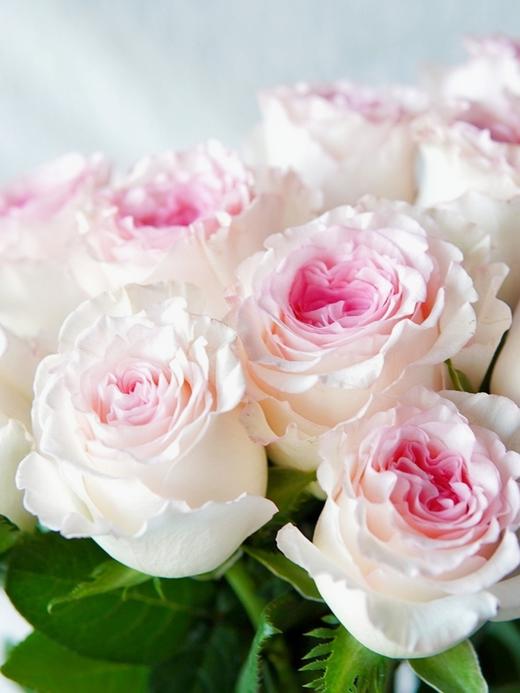 洛神【你的名字 ，是我见过zui短的情诗】简小姐精选  “玫瑰中的爱马仕” A级新品 浪漫水粉色奥斯汀玫瑰  洛神9+1枝(防花损） 2束包邮 下单后72小时内发货 商品图6