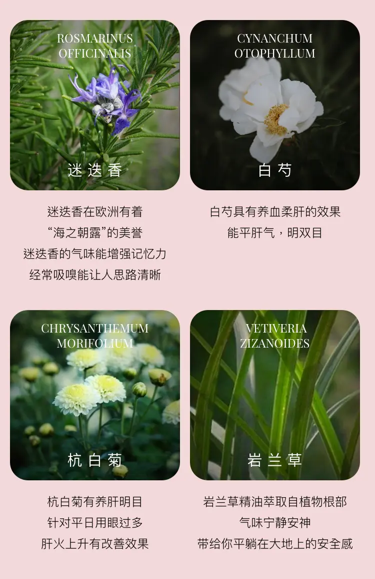 买一送一呵护双眼舒缓压力 羽心堂玫瑰灵芝蒸汽眼罩