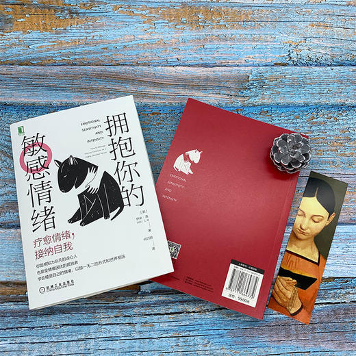 拥抱你的敏感情绪:疗愈情绪,接纳自我 商品图2