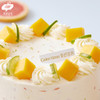 低卡糖 · 柚子咸乳酪 | 美时每客 商品缩略图3