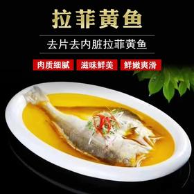 拉菲黄鱼600克/条