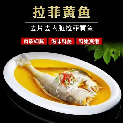 拉菲黄鱼600克/条 商品图0