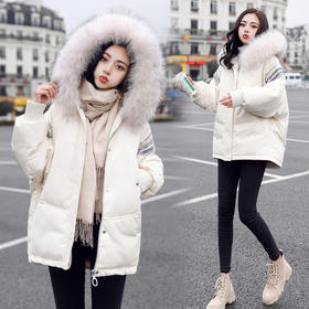 WZNH-ANY5619保暖时尚气质纯色百搭优雅连帽2020年冬季羽绒服