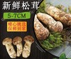 云南松茸 商品缩略图1
