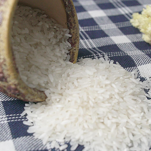 【京山桥米537】金禾圣生态米 5kg/袋 商品图1