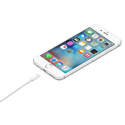 苹果 数据线 Apple 闪电转USB  适用iPhone/iPad/iPod 商品图3