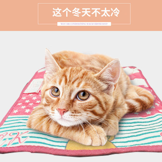 宠物专用电热毯——加热垫猫咪狗狗恒温电热垫冬天取暖器防漏电小窝 商品图3