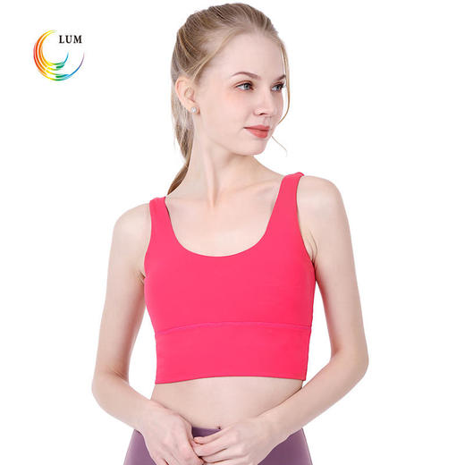 LUM19103露檬热销专业瑜伽运动小背心BRA 商品图1