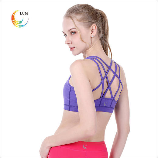 LUM19106露檬热销专业瑜伽运动小背心BRA 商品图1