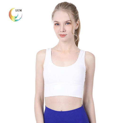 LUM19103露檬热销专业瑜伽运动小背心BRA 商品图4